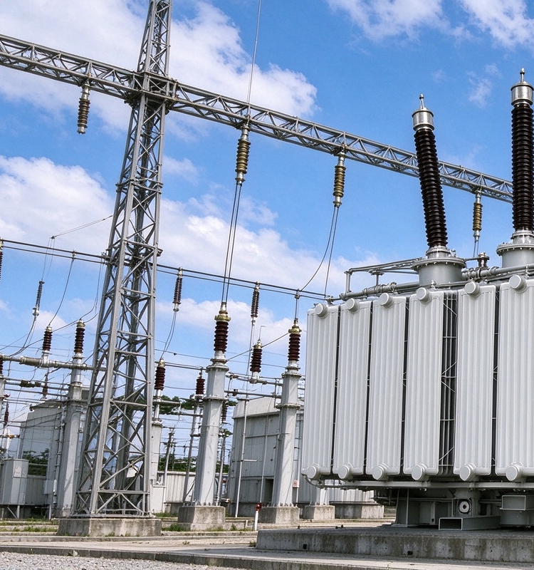 Foreign Cases